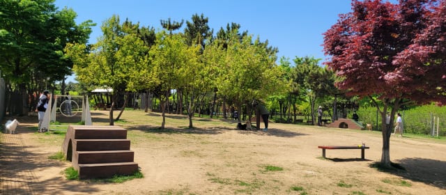 성곡반려견놀이터 사진 2