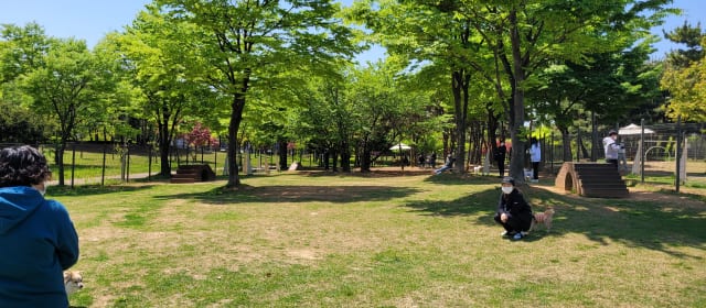 성곡반려견놀이터 사진 3