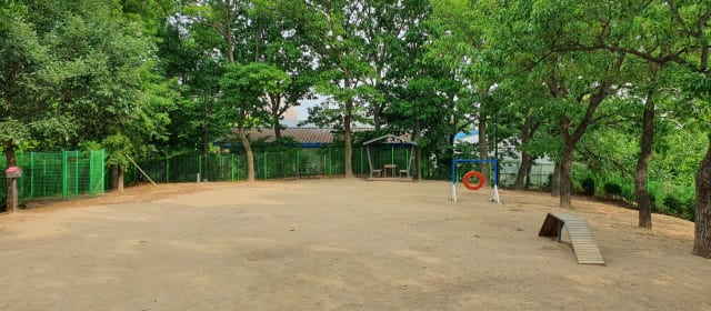 일산호수공원반려견놀이터 사진 2