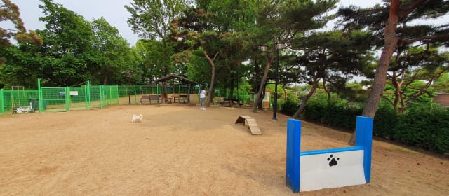 일산호수공원반려견놀이터 사진 4