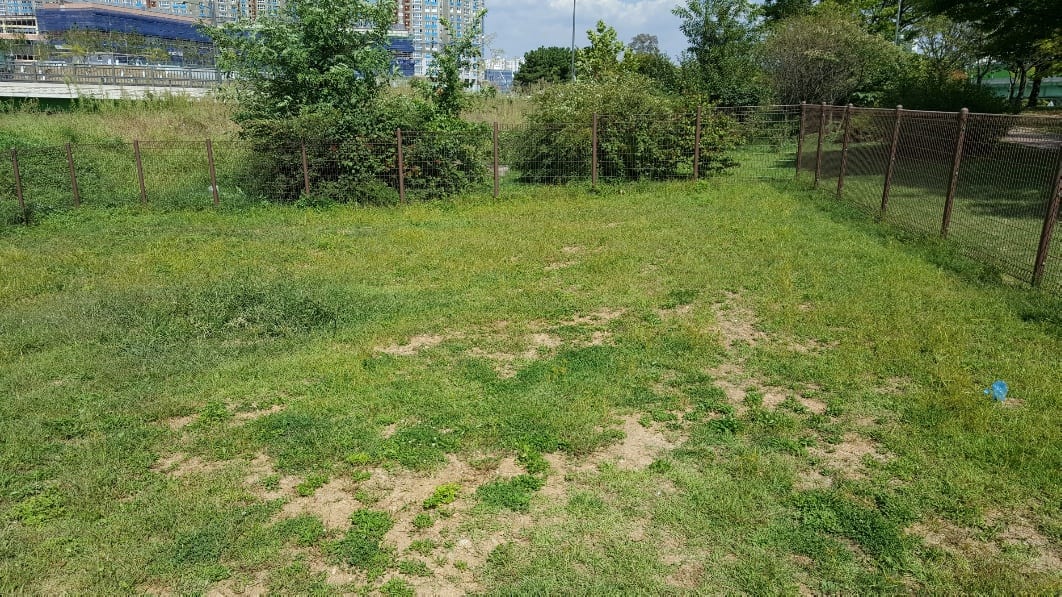 옥구공원 반려견 놀이터 사진 4