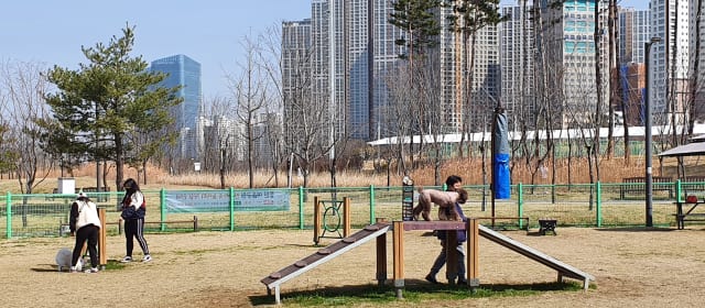 동탄여울공원 반려가족놀이터 사진 2