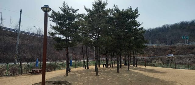 삼막애견공원 사진 2