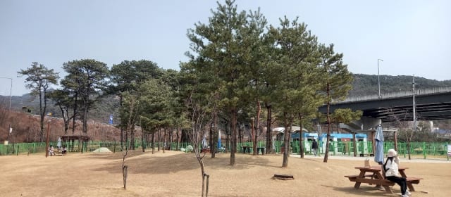 삼막애견공원 사진 4