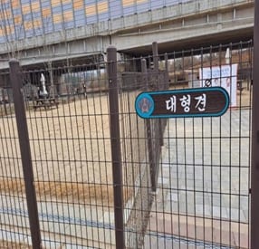 호매실동반려견놀이터 사진 2