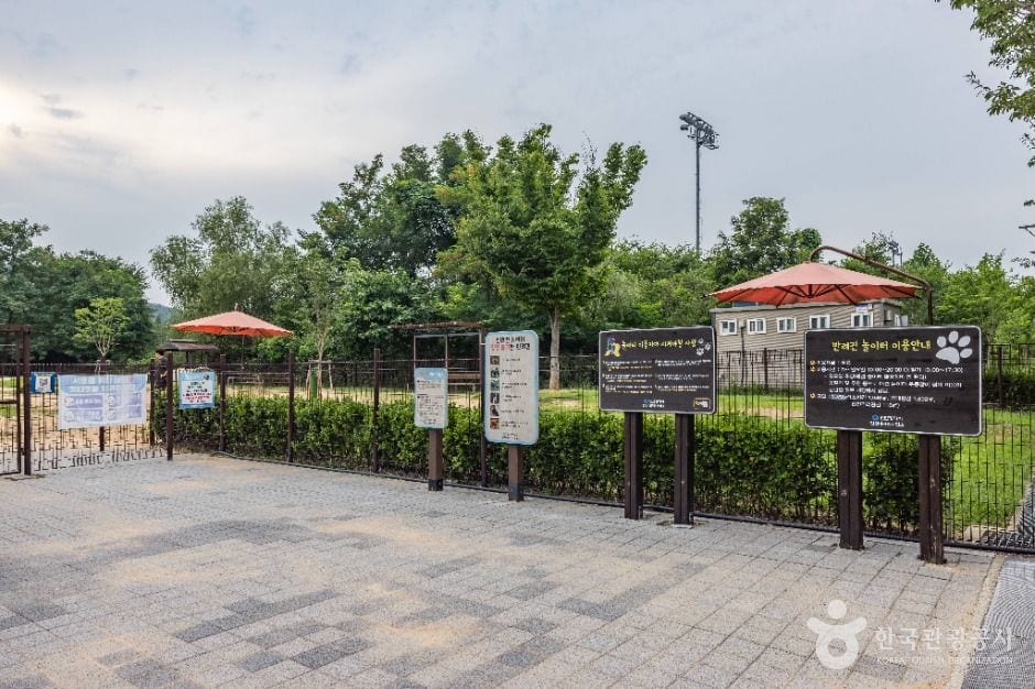 인천대공원 반려동물 놀이터 사진 3