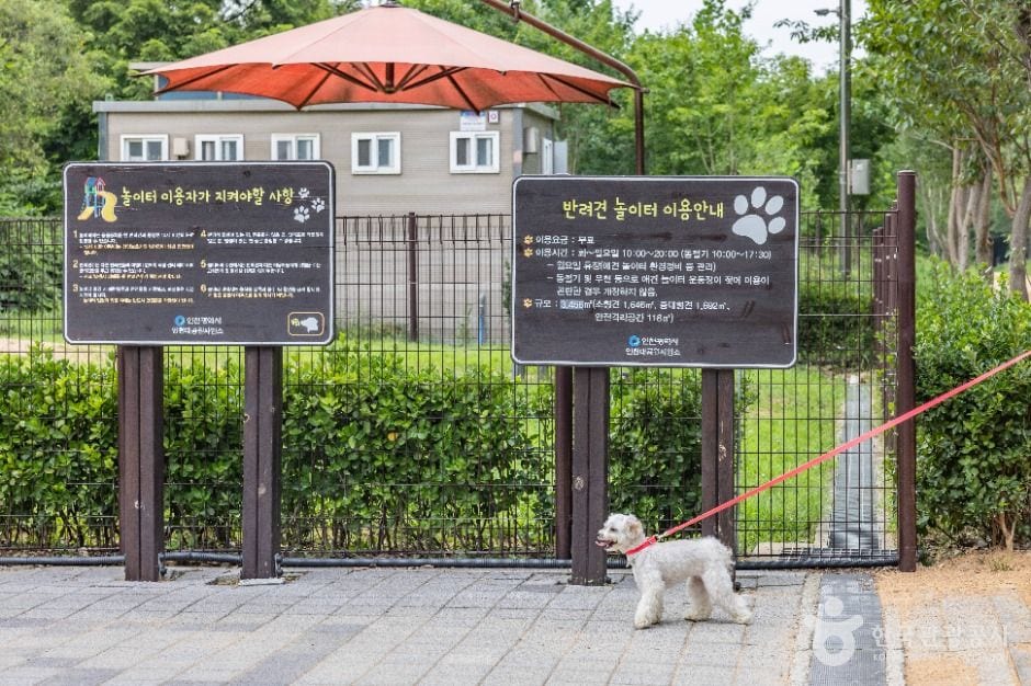 인천대공원 반려동물 놀이터 사진 8