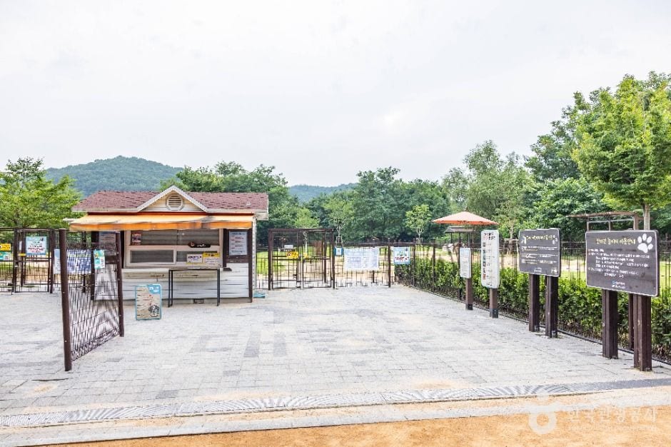 인천대공원 반려동물 놀이터 사진 10