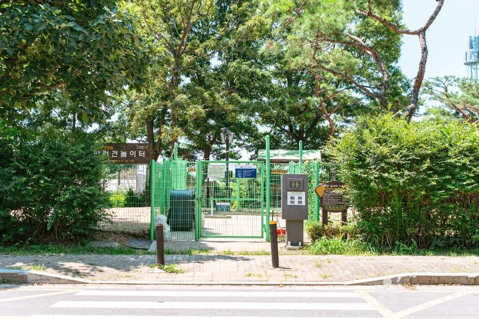 일산호수공원반려견놀이터 사진 5