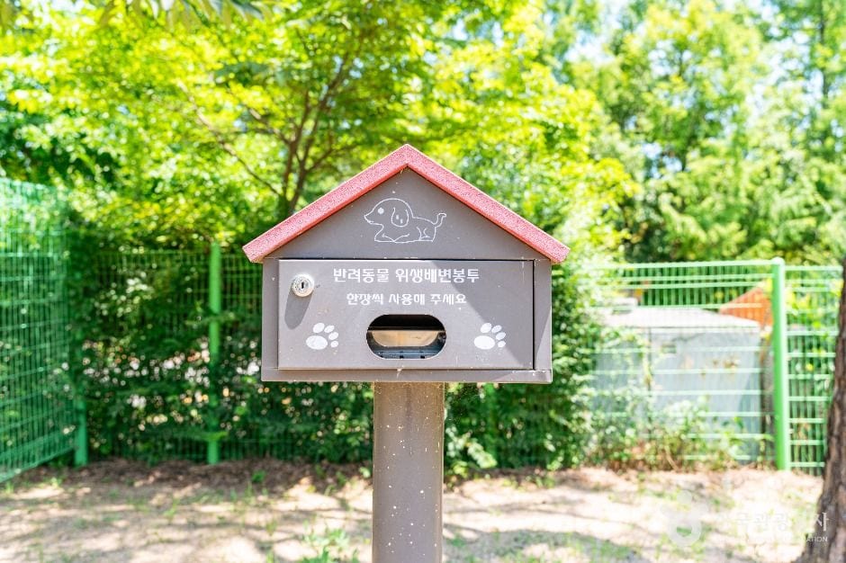 일산호수공원반려견놀이터 사진 8