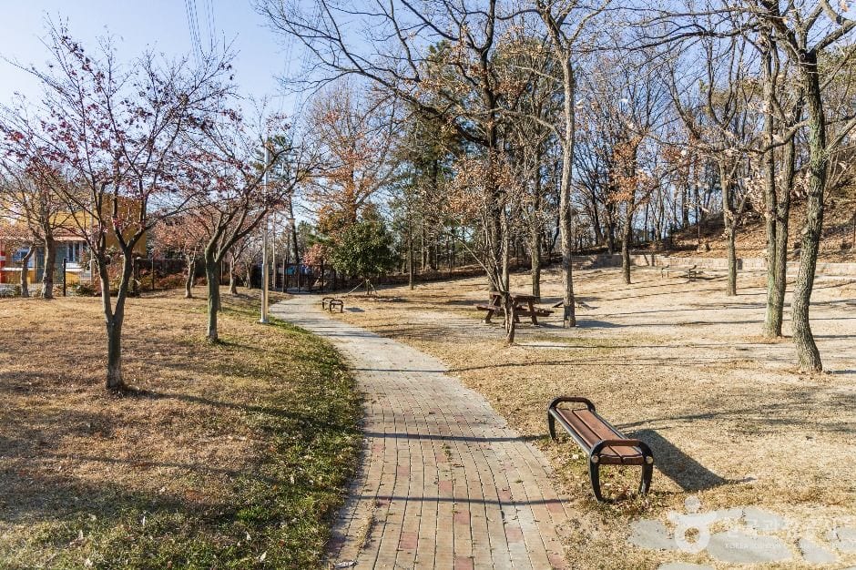 포항시 댕댕동산 사진 2