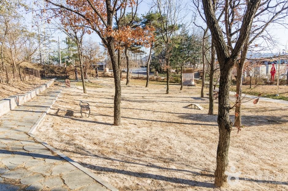 포항시 댕댕동산 사진 5