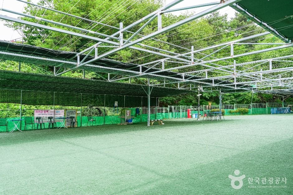 울산애견공원 (문수국제양궁장) 사진 2