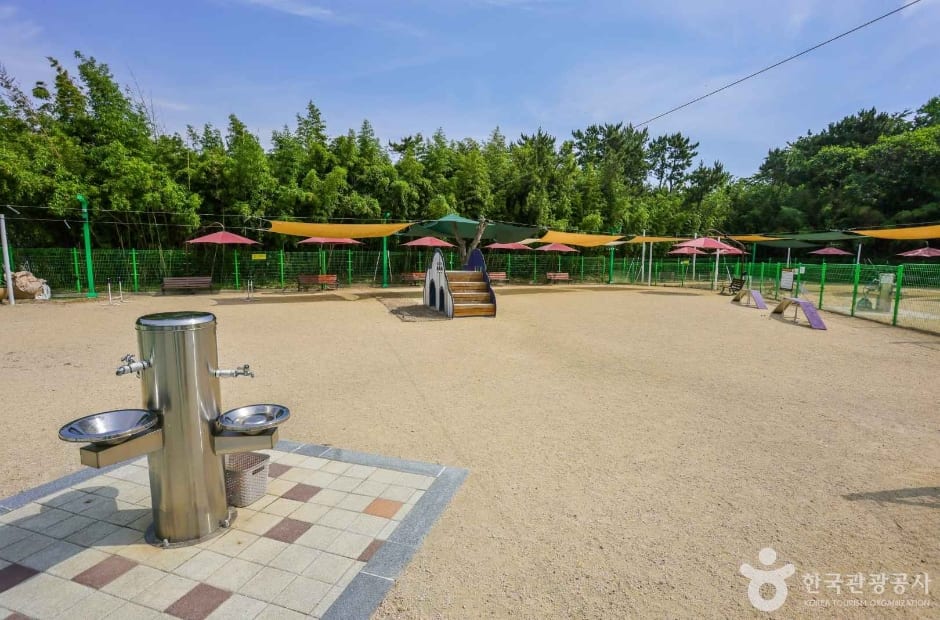 봉화재 반려견 놀이터 사진 5